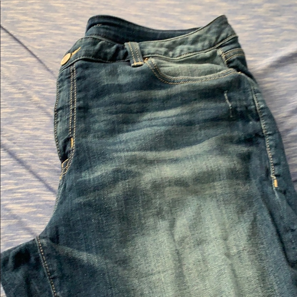 Lane Bryant Capri